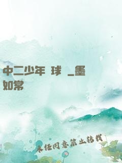中二少年籃球夢