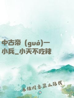 中古帝國(guó)一小兵