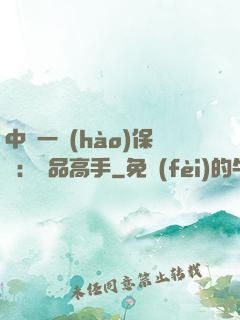 中華一號(hào)保鏢：極品高手