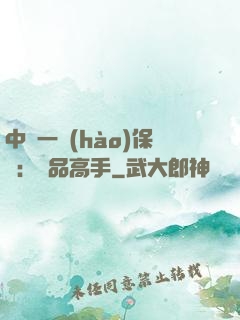 中華一號(hào)保鏢：極品高手