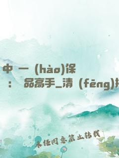 中華一號(hào)保鏢：極品高手