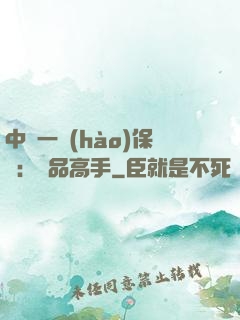 中華一號(hào)保鏢：極品高手