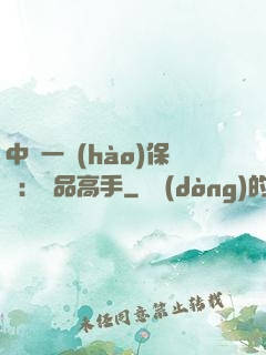 中華一號(hào)保鏢：極品高手