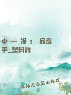 中華一號保鏢：極品高手