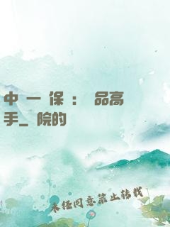 中華一號保鏢：極品高手