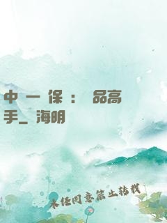 中華一號保鏢：極品高手