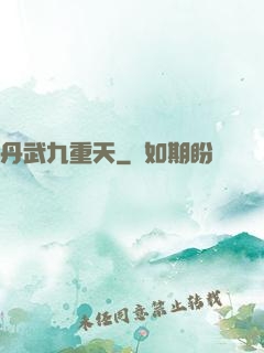 丹武九重天