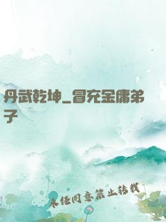 丹武乾坤