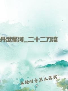 丹武星河