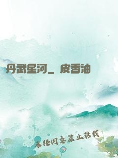 丹武星河