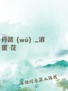 丹武無(wú)敵