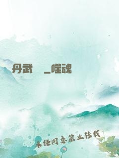 丹武無敵
