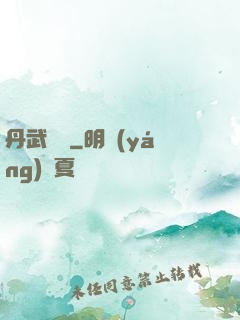 丹武無敵