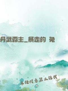 丹武霸主