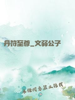 丹符至尊