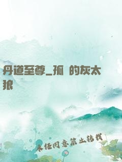 丹道至尊