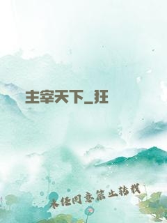 主宰天下