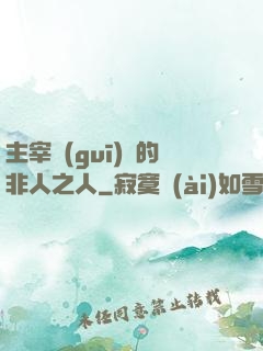 主宰規(guī)則的非人之人
