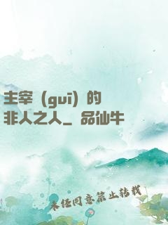 主宰規(guī)則的非人之人