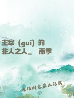 主宰規(guī)則的非人之人