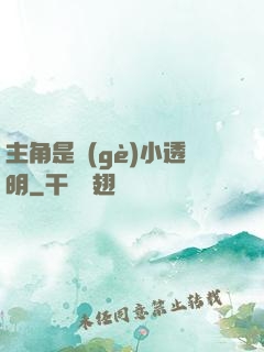 主角是個(gè)小透明