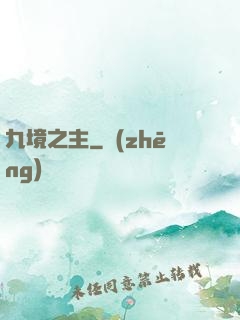 九境之主