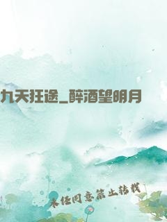 九天狂途
