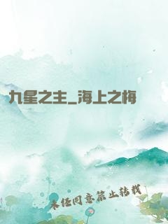 九星之主