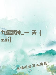 九星武神