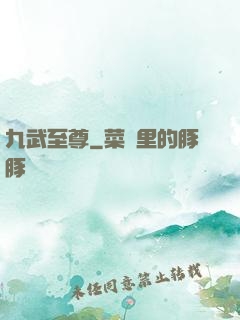 九武至尊