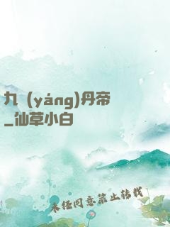 九陽(yáng)丹帝