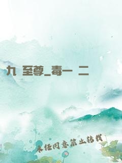 九龍至尊