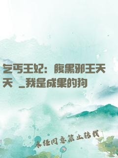 乞丐王妃：腹黑邪王天天寵