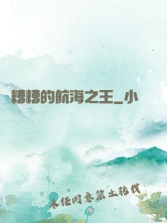 亂糟糟的航海之王