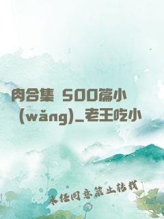 亂肉合集亂500篇小說網(wǎng)