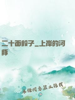 二十面骰子
