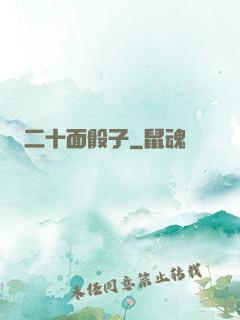 二十面骰子
