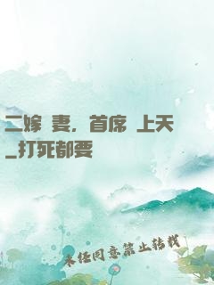 二嫁貴妻，首席寵上天