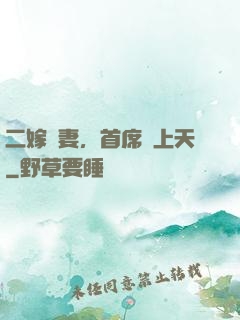 二嫁貴妻，首席寵上天