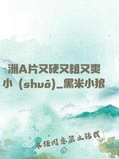 亞洲A片又硬又粗又爽小說(shuō)