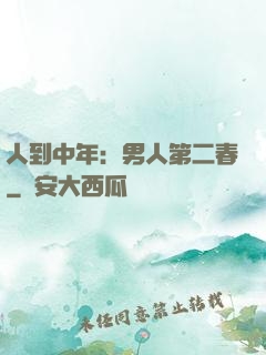 人到中年：男人第二春