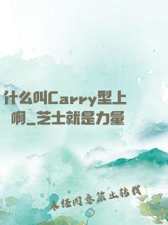 什么叫Carry型上單啊