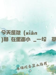 今天是危險(xiǎn)期別在里面小說
