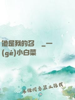 他是我的召喚獸