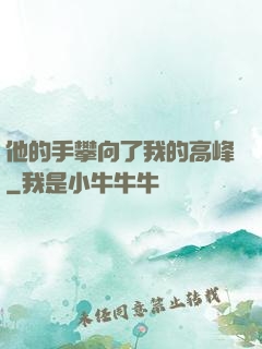 他的手攀向了我的高峰