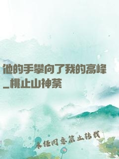 他的手攀向了我的高峰