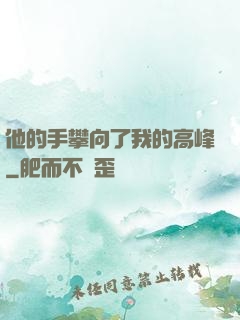 他的手攀向了我的高峰