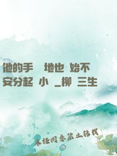 他的手漸漸地也開始不安分起來小說