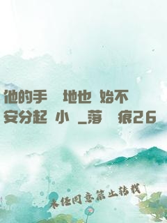 他的手漸漸地也開始不安分起來小說