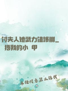 付夫人她武力值爆棚